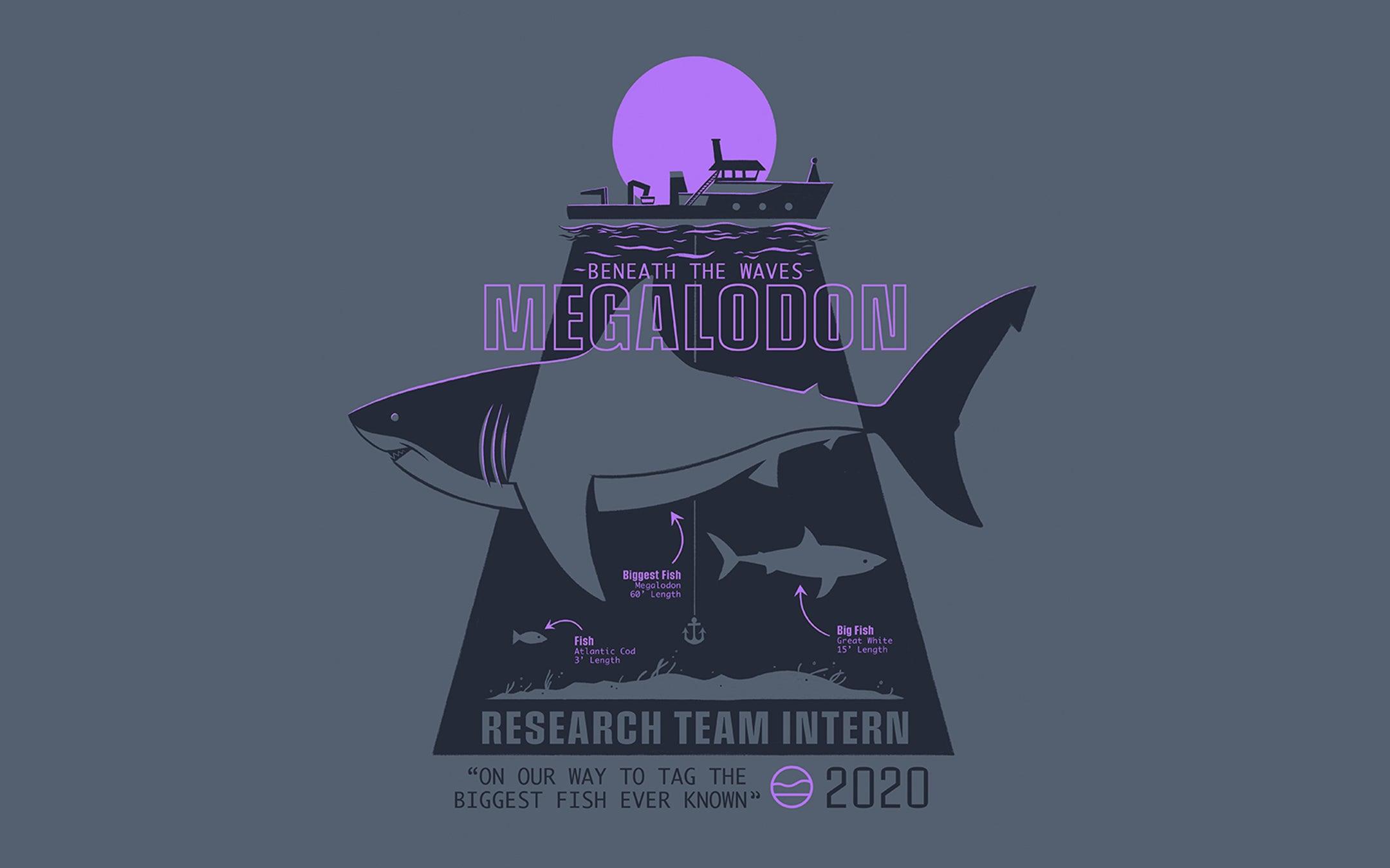 5 FACTS ABOUT THE MEGALODON - Cape Clasp