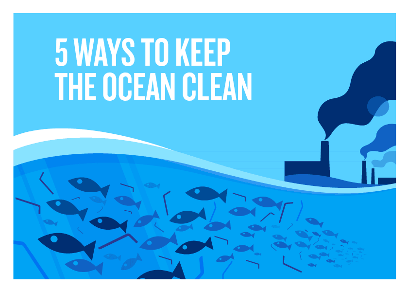 5 Ways to Keep the Ocean Clean - Cape Clasp