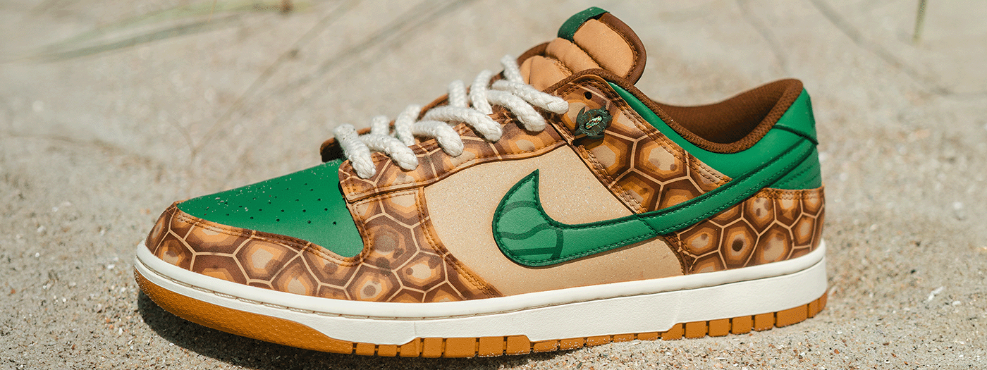 Win Custom Turtle Dunks + Help Save Sea Turtles 🐢👟