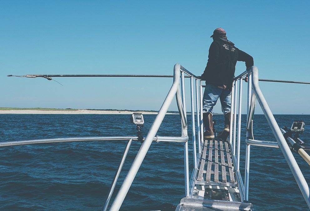 Cape Clasp Goes Shark Tagging With Atlantic White Shark Conservancy - Cape Clasp