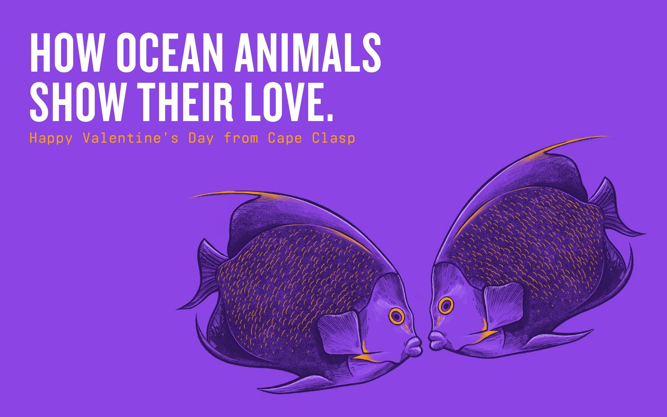 How Ocean Animals Show Their Love - Cape Clasp