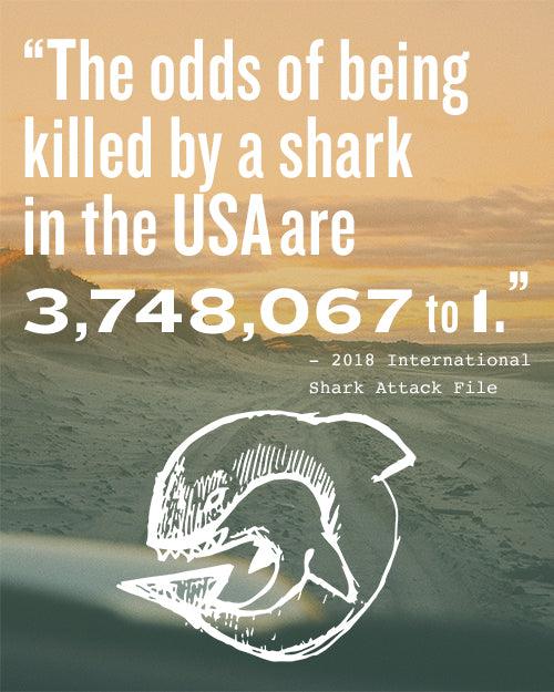 NEW STUDY SHOWS SHARK BITES WERE DOWN LAST YEAR - Cape Clasp