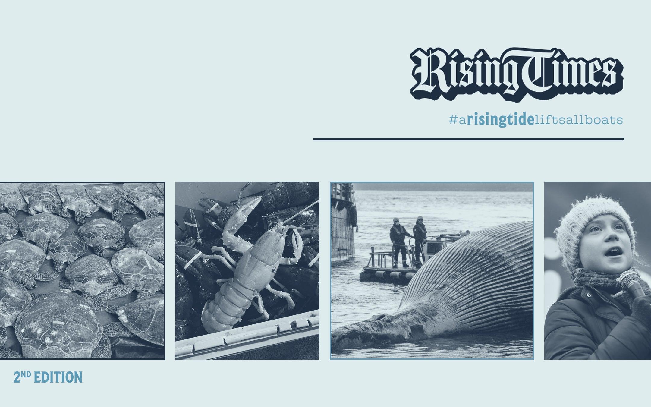 Rising Times | Second Edition - Cape Clasp