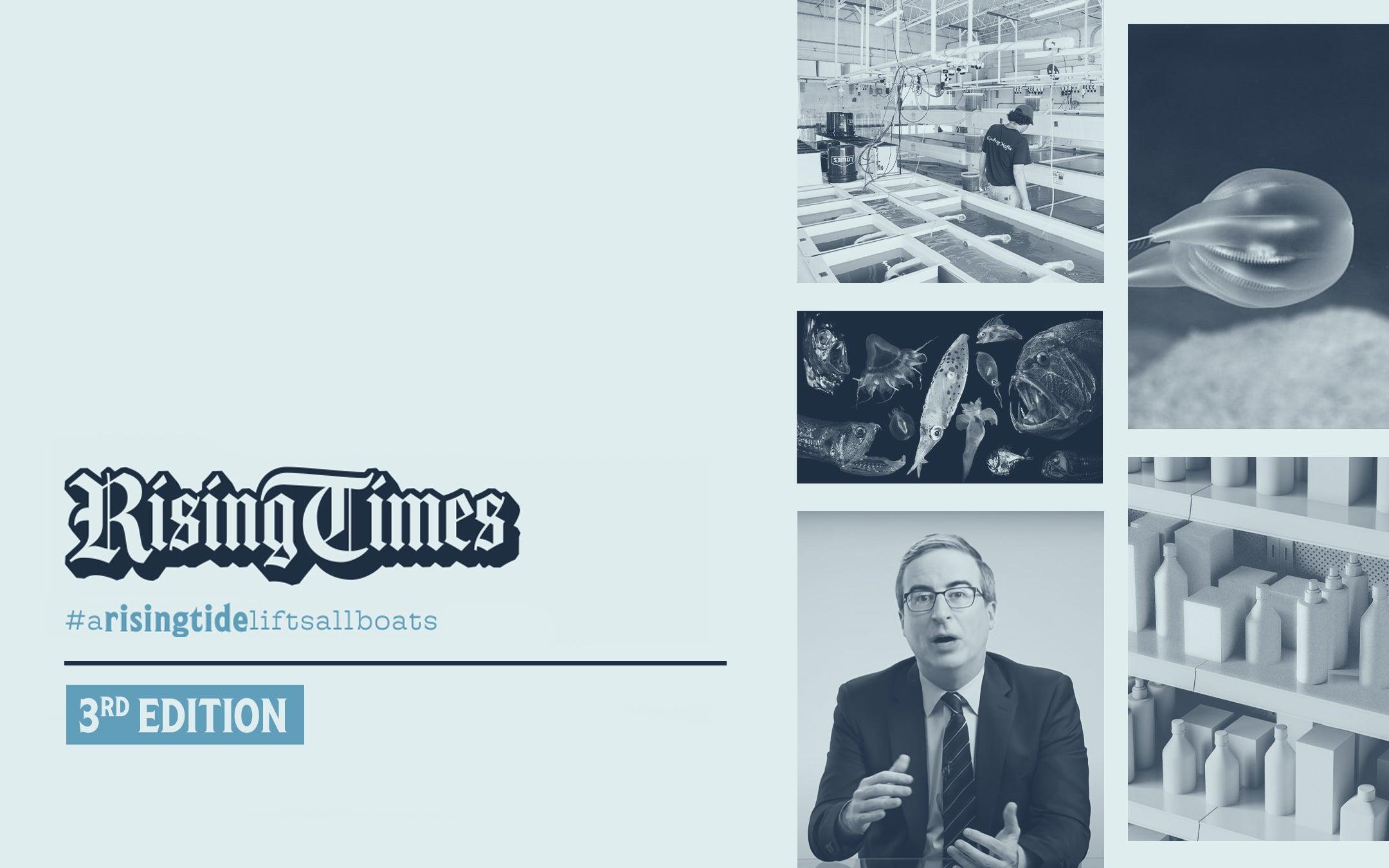 RISING TIMES | THIRD EDITION - Cape Clasp