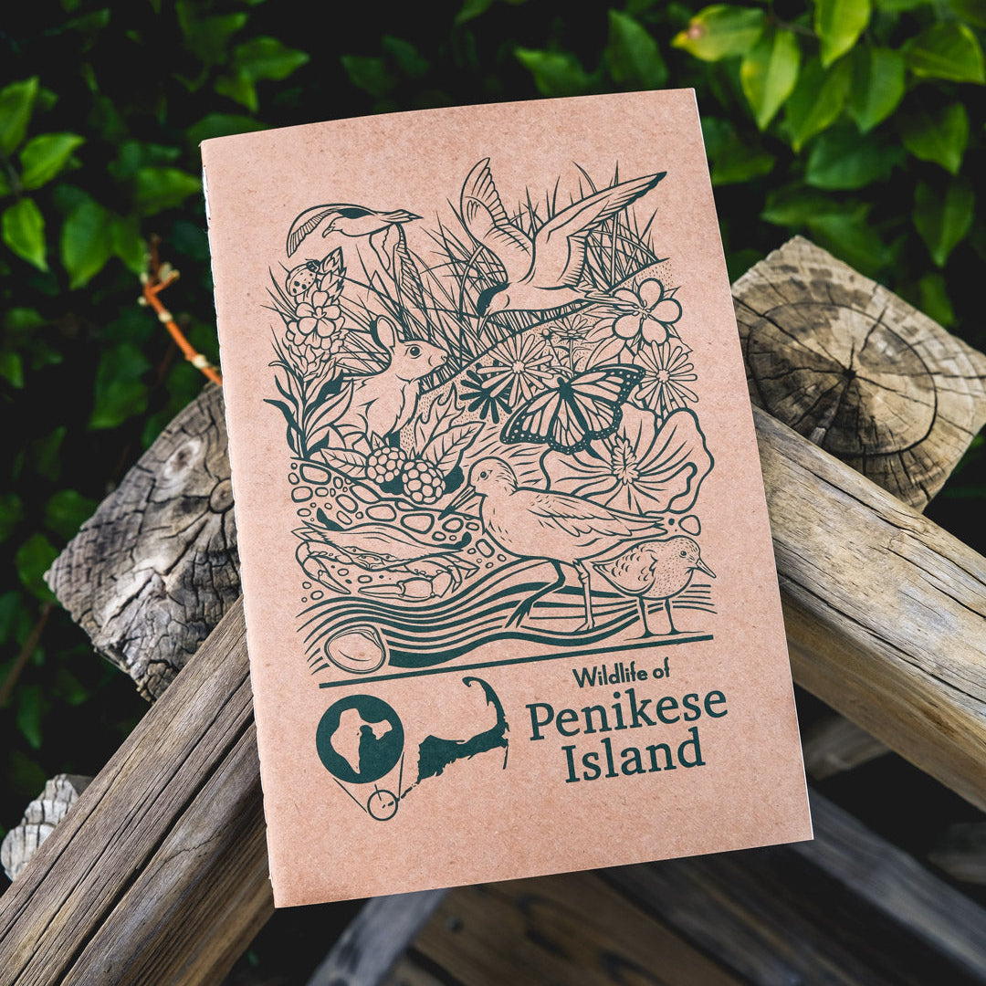 Penikese Island Field Notebook