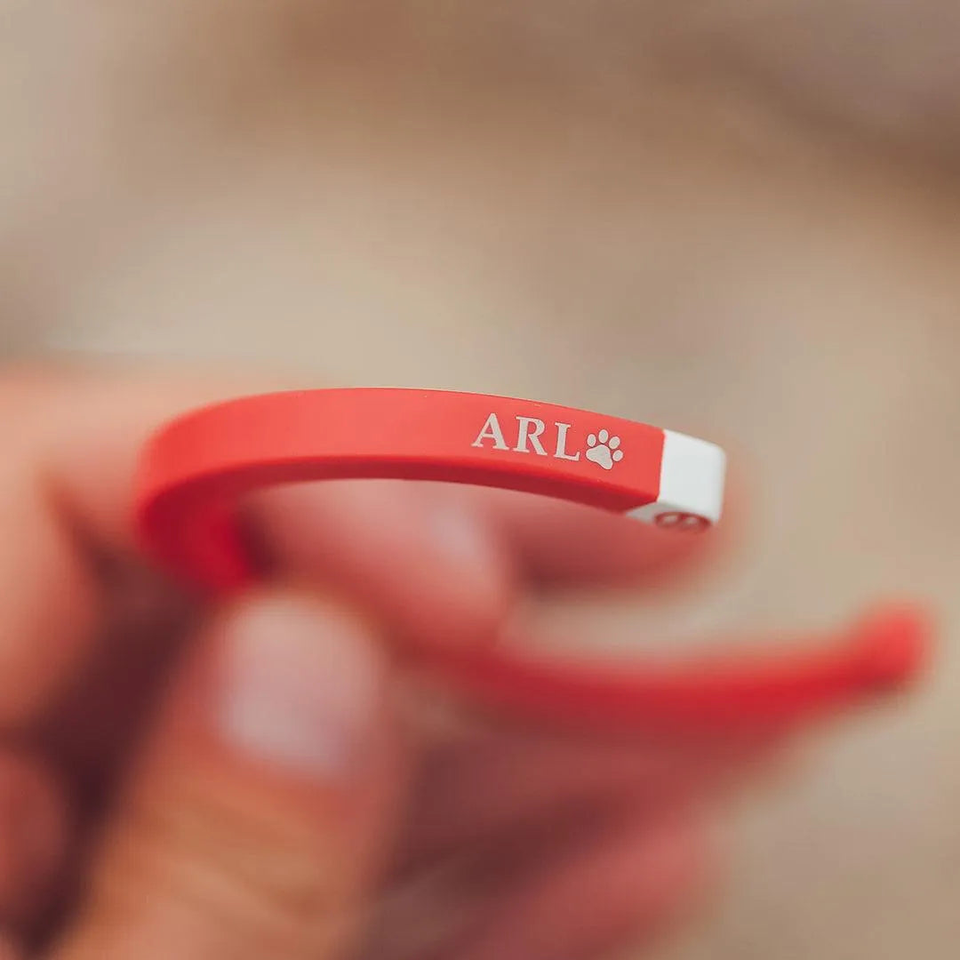 Animal Rescue Tikós Bracelet - Cape Clasp