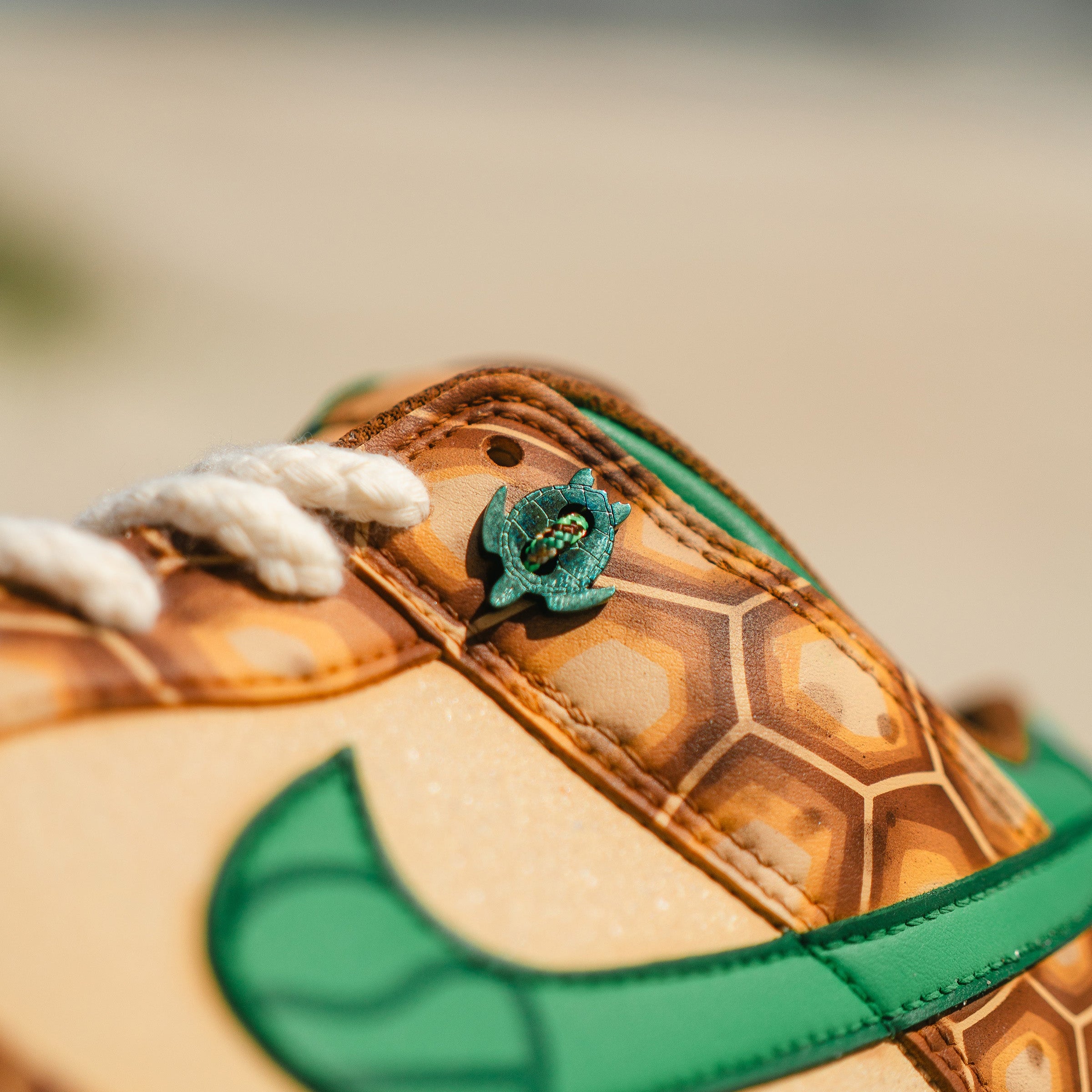 Nike Turtle Tracker Dunks