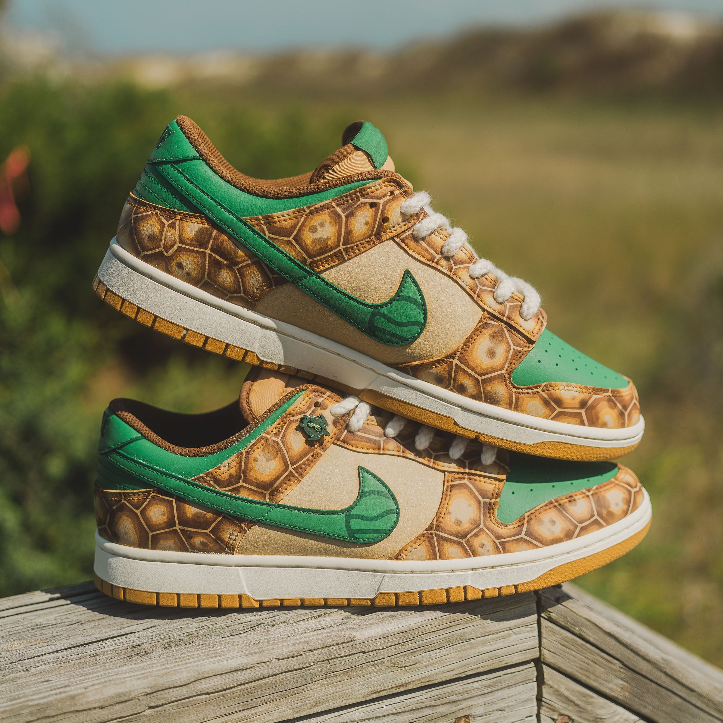 Nike Turtle Tracker Dunks