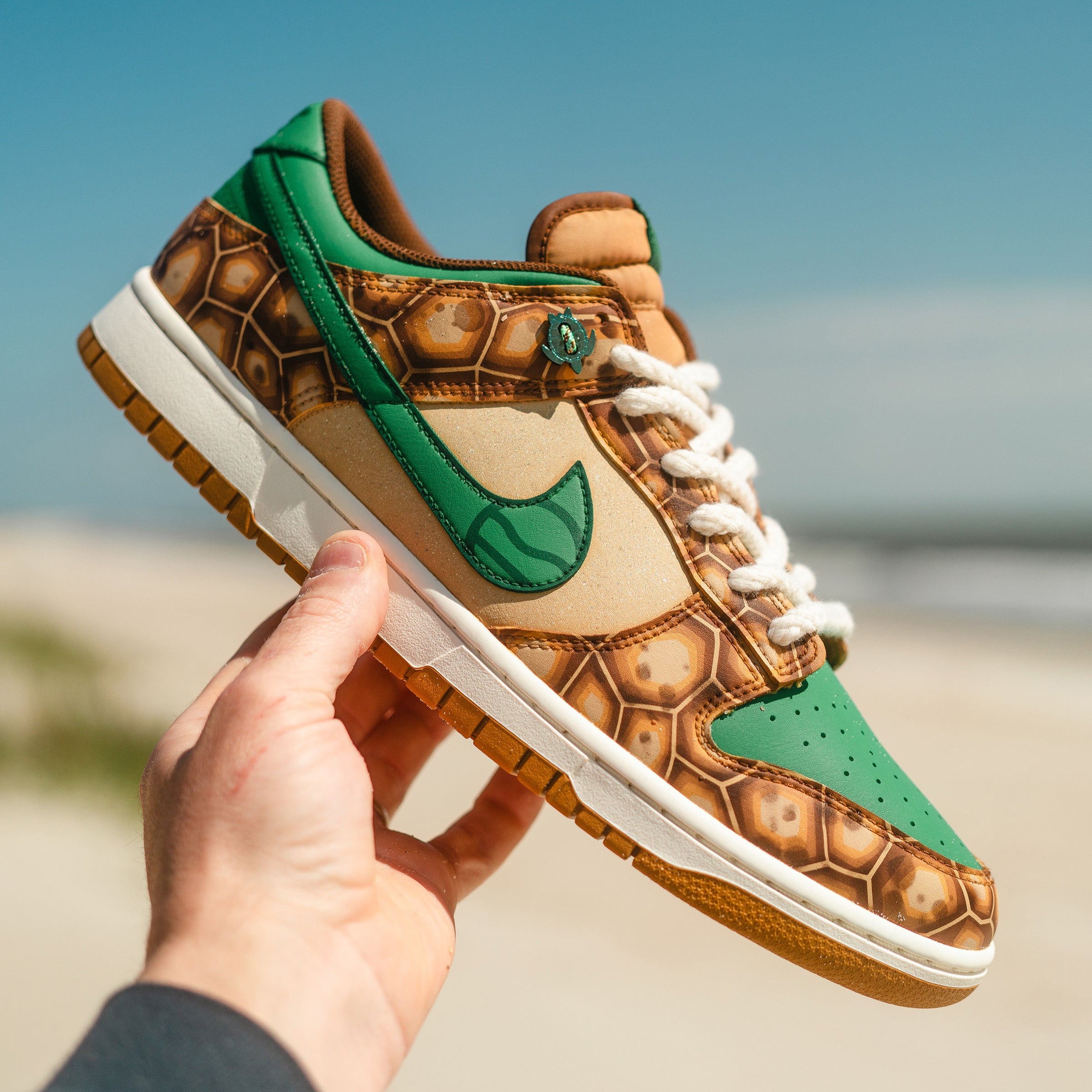Nike Turtle Tracker Dunks