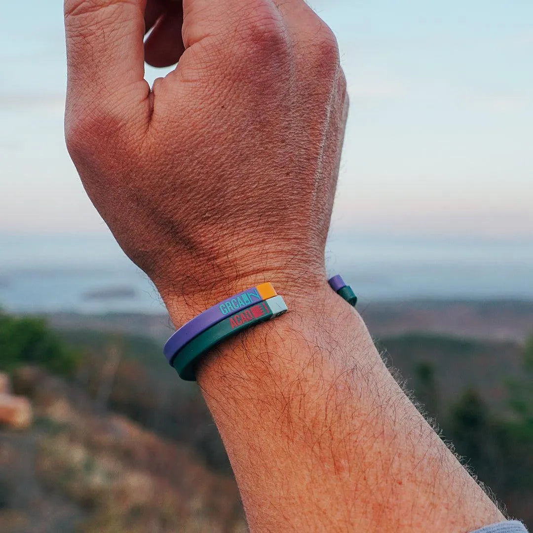 Acadia National Park - Cape Clasp