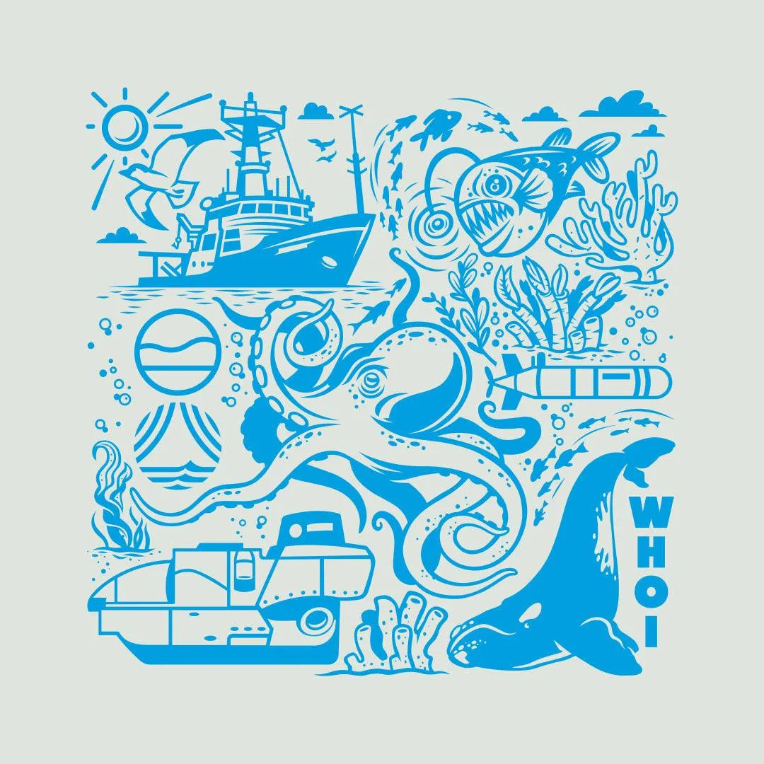 CC x WHOI Baggu - Cape Clasp