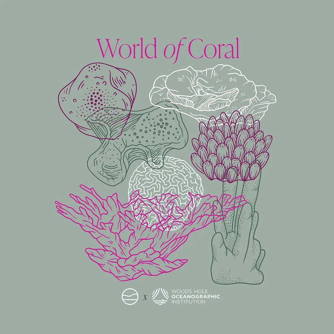 World of Coral Long Sleeve Tee - Cape Clasp