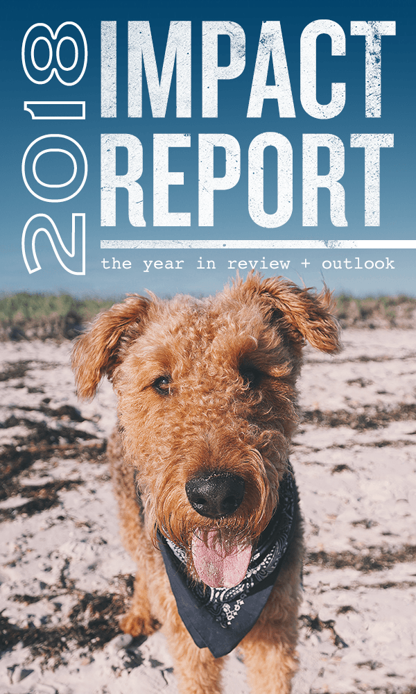 2018: Our Year in Review - Cape Clasp
