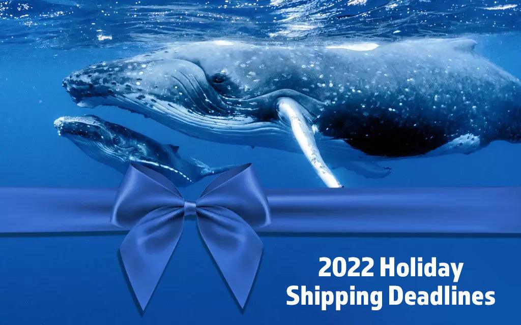 2022 Holiday Shipping Deadlines - Cape Clasp