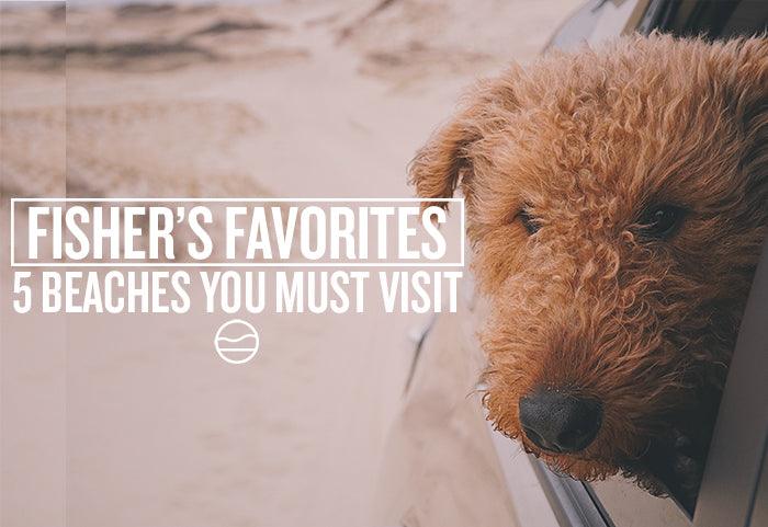 5 CAPE COD BEACHES YOU NEED TO VISIT - Cape Clasp