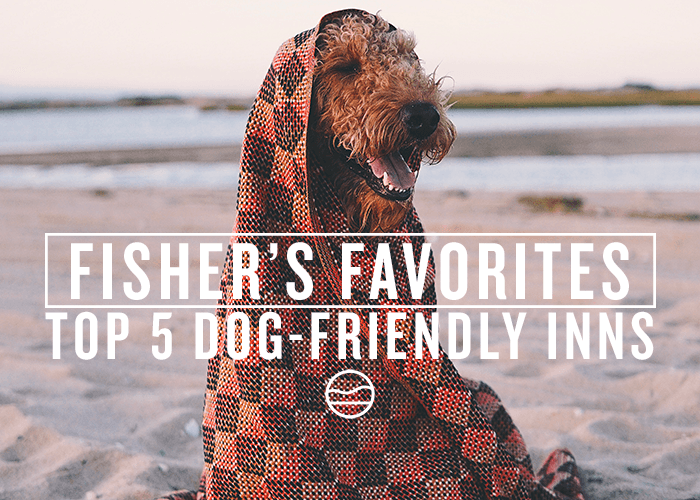 5 DOG-FRIENDLY INNS ON THE CAPE AND ISLANDS [FISHER'S FAVORITES] - Cape Clasp