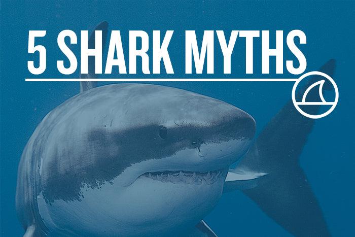 5 MYTHS ABOUT SHARKS - Cape Clasp