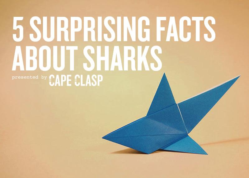 5 Surprising Facts About Sharks - Cape Clasp