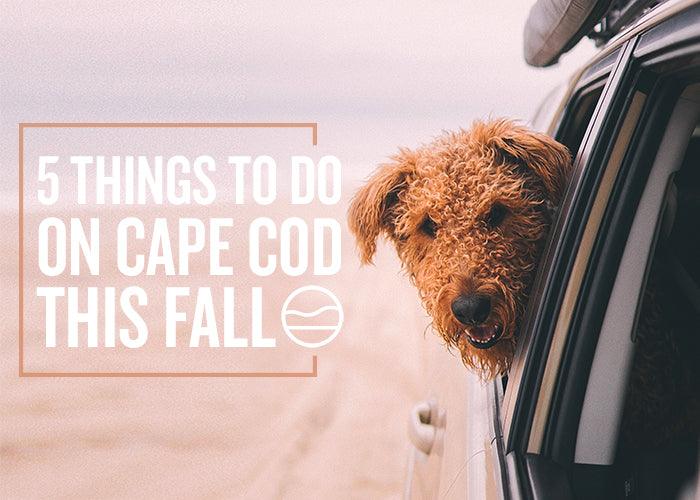 5 THINGS TO DO ON CAPE COD THIS FALL - Cape Clasp