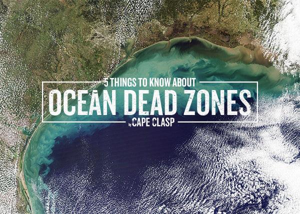 5 Things to Know About Ocean Dead Zones - Cape Clasp