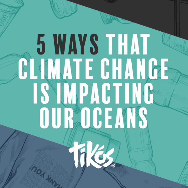 5 Ways Climate Change is Impacting the Ocean | Cape Clasp Blog
