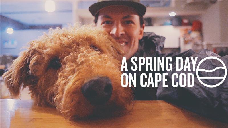 A SPRING DAY ON CAPE COD [VLOG] - Cape Clasp