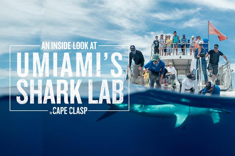 An Inside Look at UMiami's Shark Research & Conservation Program - Cape Clasp
