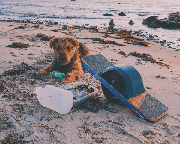 Clean your Beach & Get a FREE Cape Clasp Sticker Pack - Cape Clasp