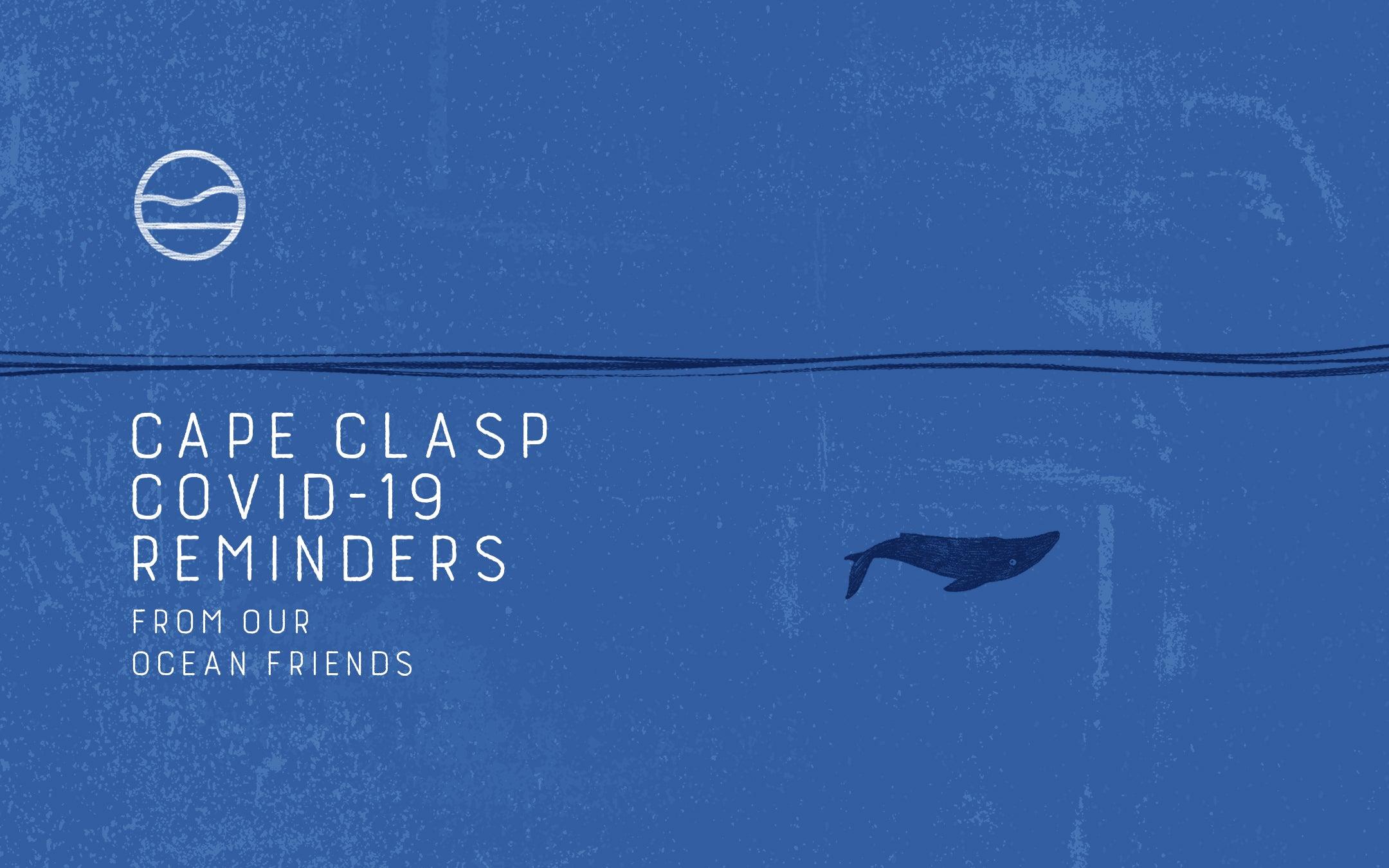 Covid-19 Reminders from our Ocean Friends - Cape Clasp