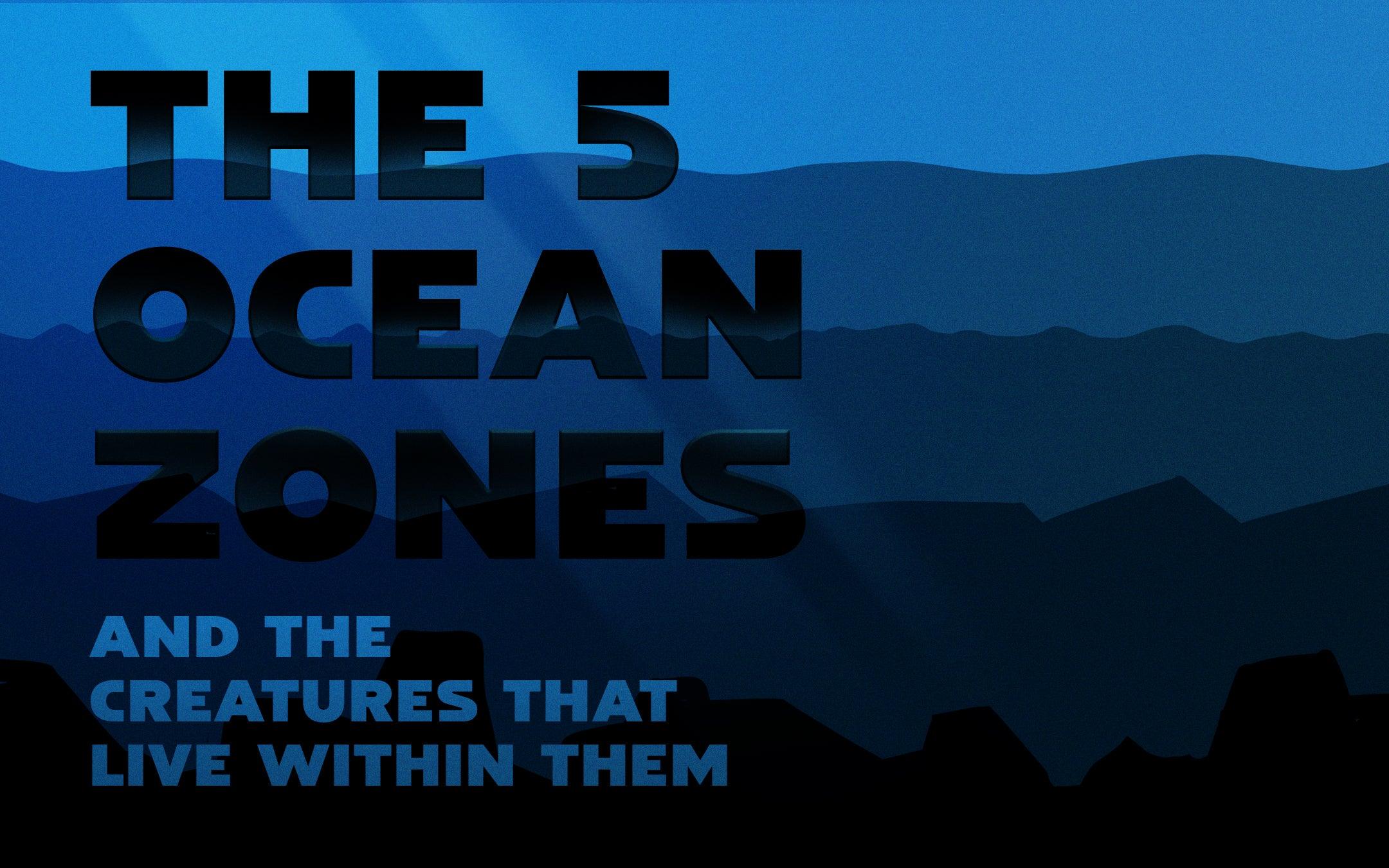 The 5 Ocean Zones And The Creatures That Live Within Them - Cape Clasp