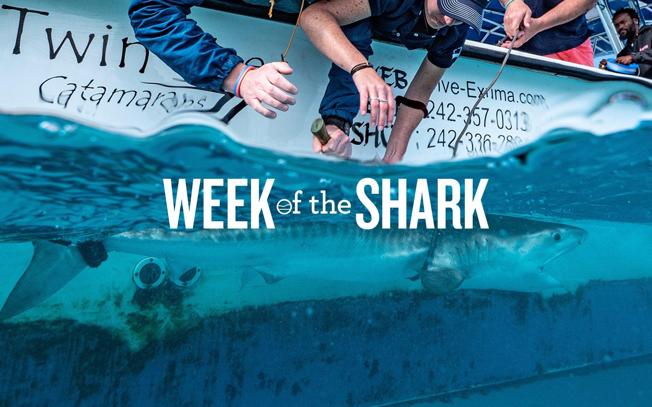 Week of the Shark [SIGN UP] - Cape Clasp
