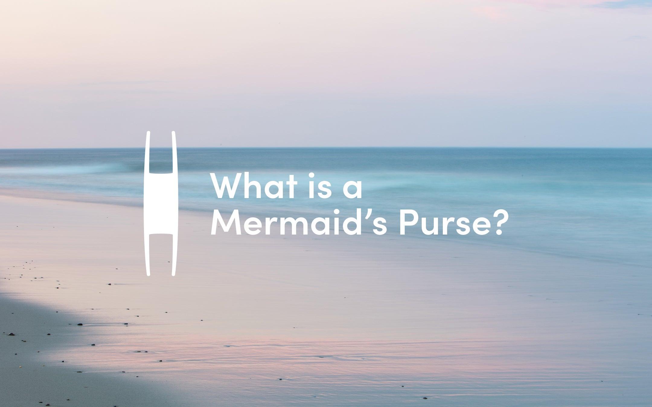 What is a Mermaid's Purse? (Hint: not a handbag...) - Cape Clasp