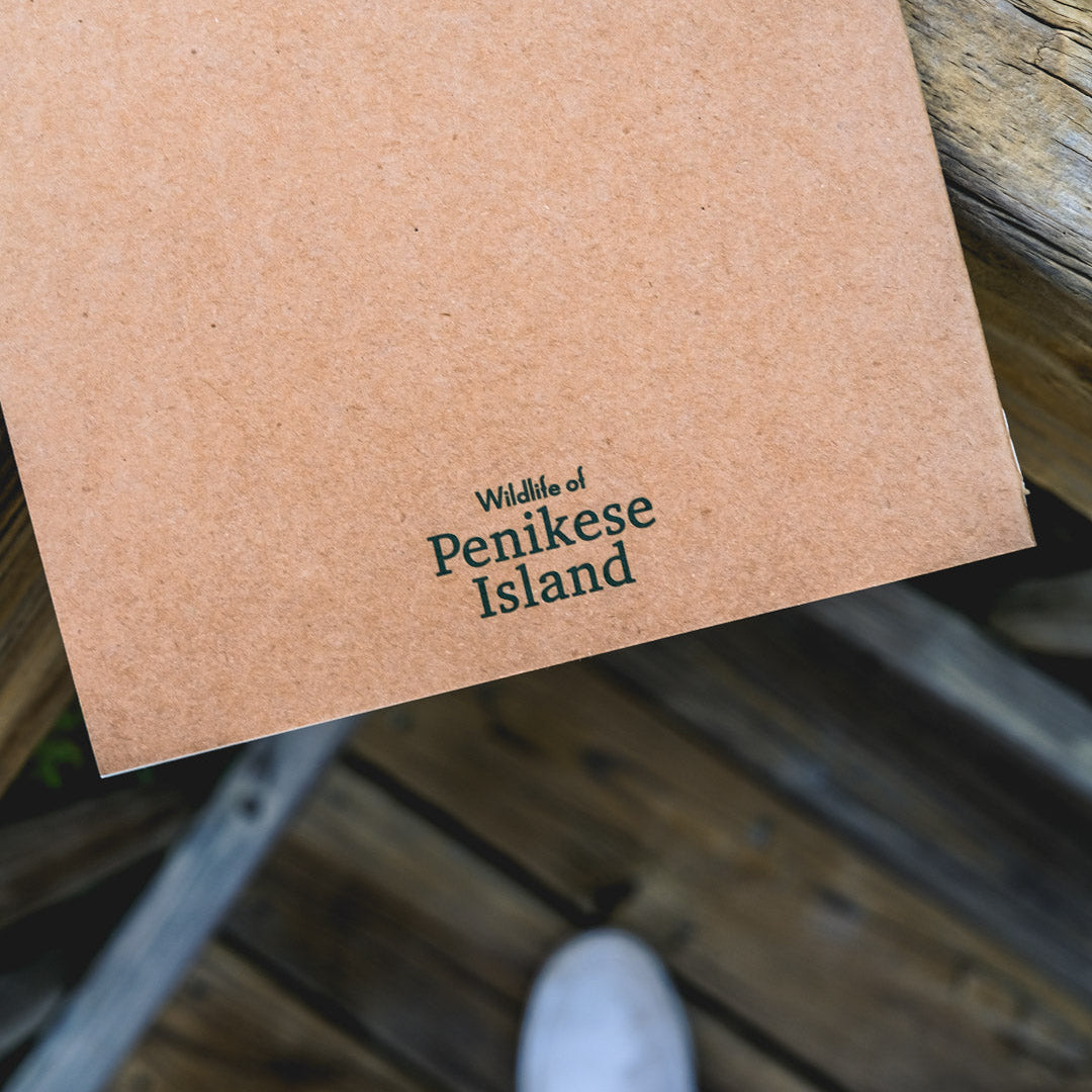 Penikese Island Field Notebook