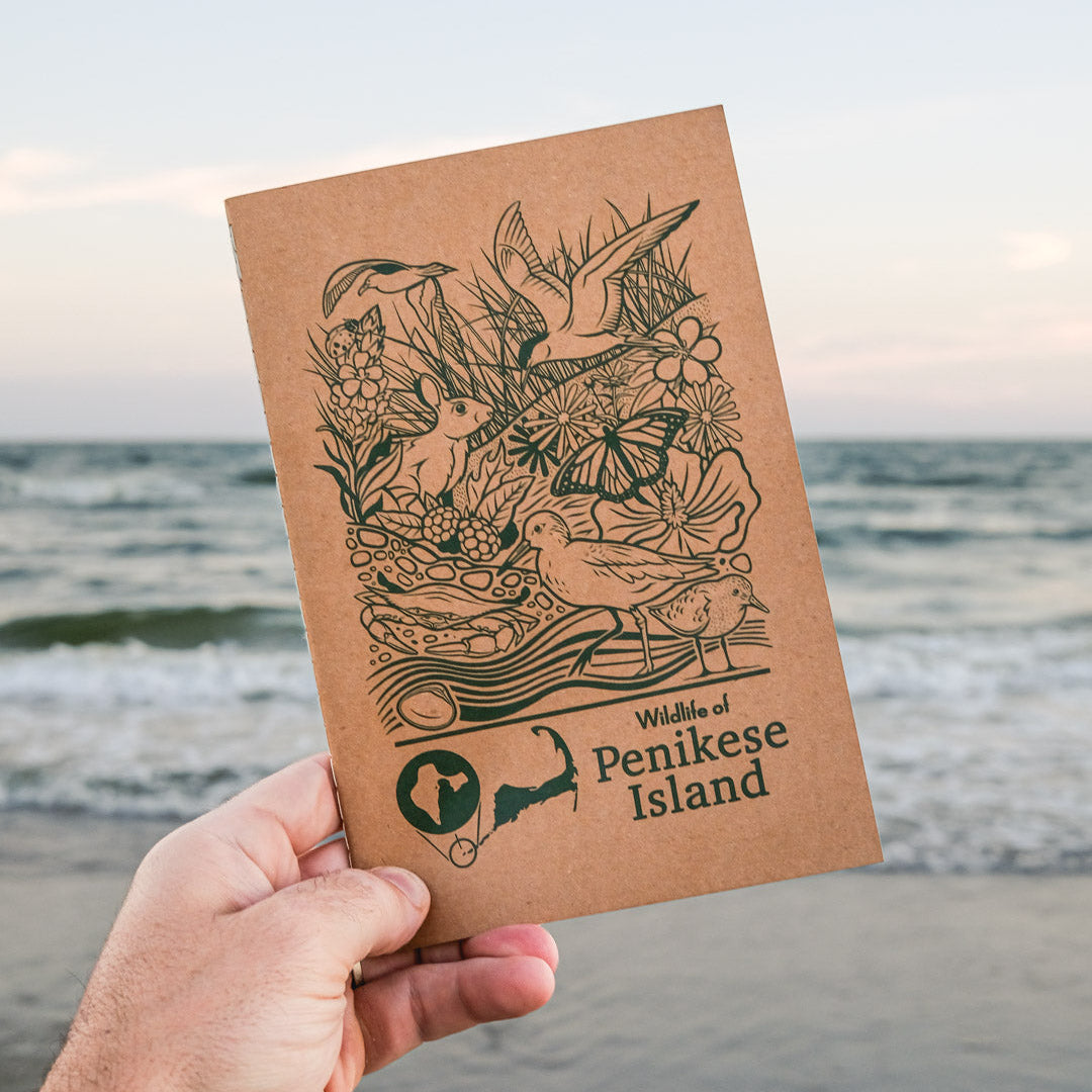Penikese Island Field Notebook