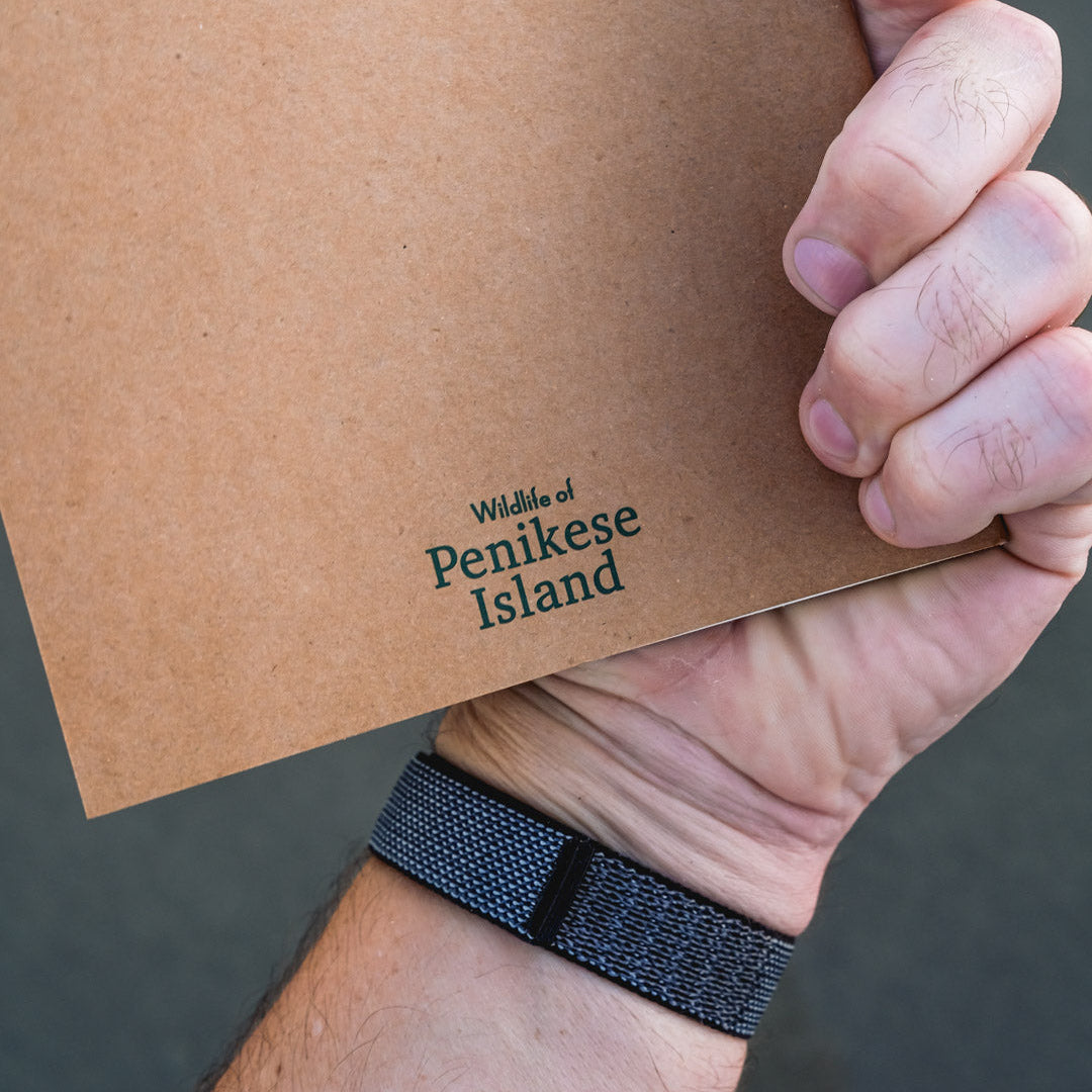Penikese Island Field Notebook