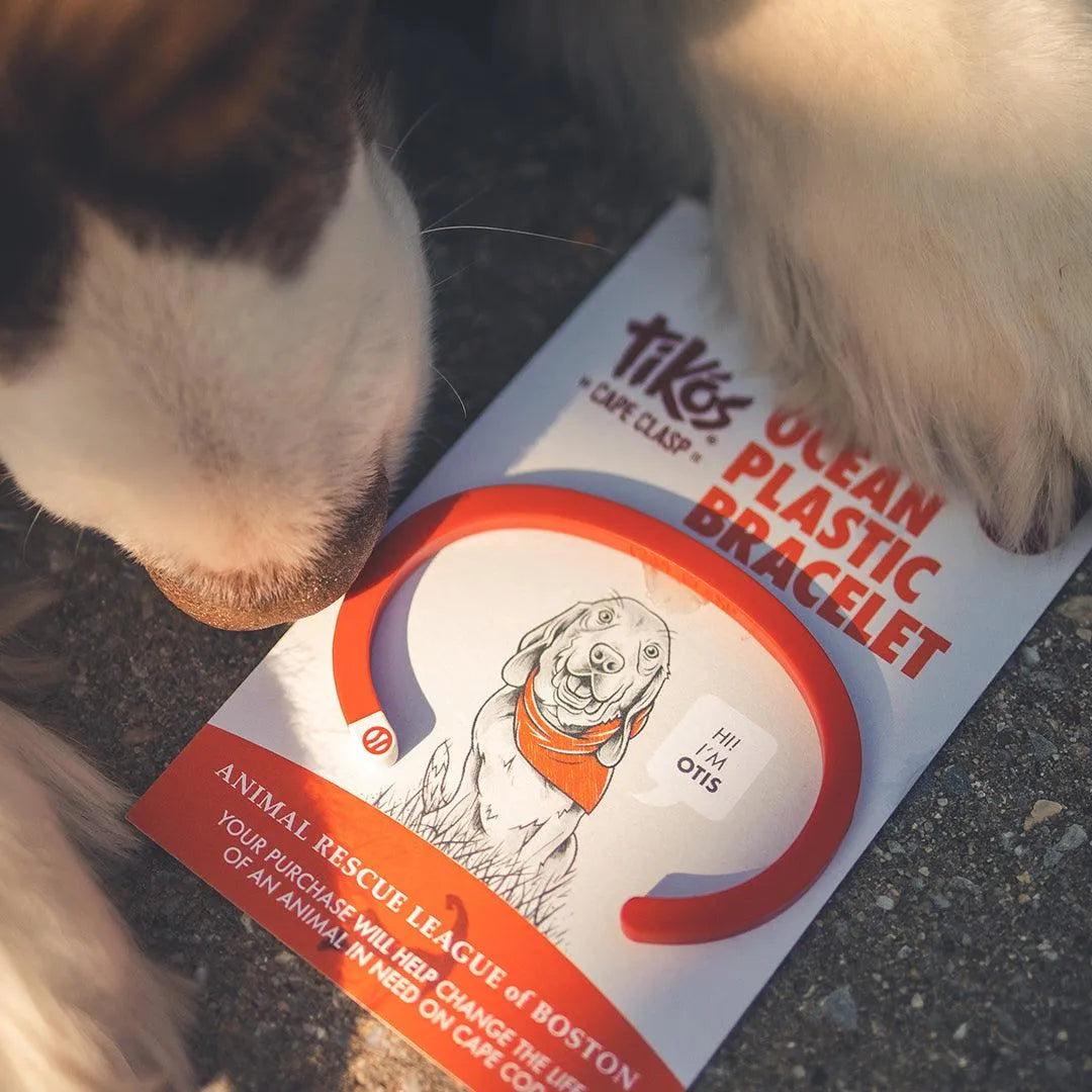 Animal Rescue Tikós Bracelet - Cape Clasp