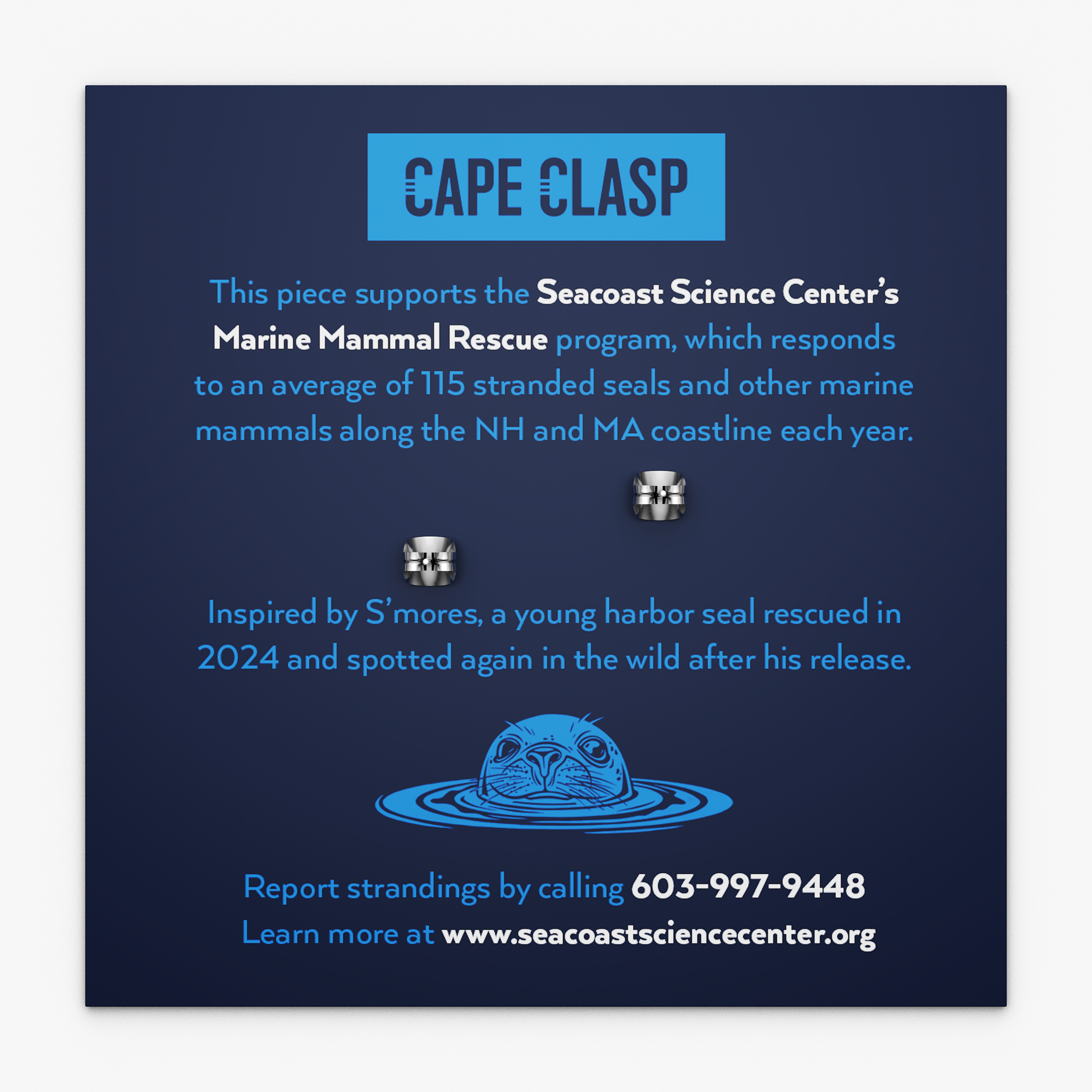 Harbor Seal Earrings