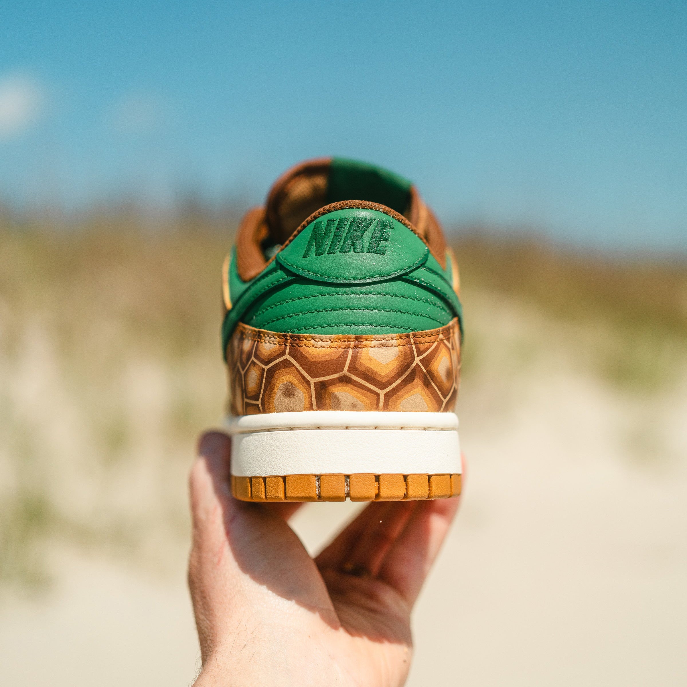 Nike Turtle Tracker Dunks