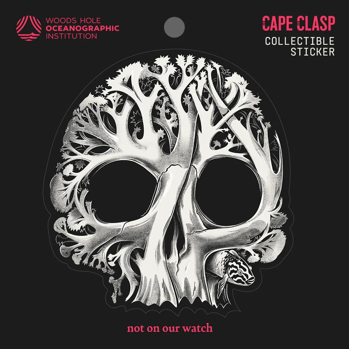 CC X WHOI Coral Skull Sticker - Cape Clasp