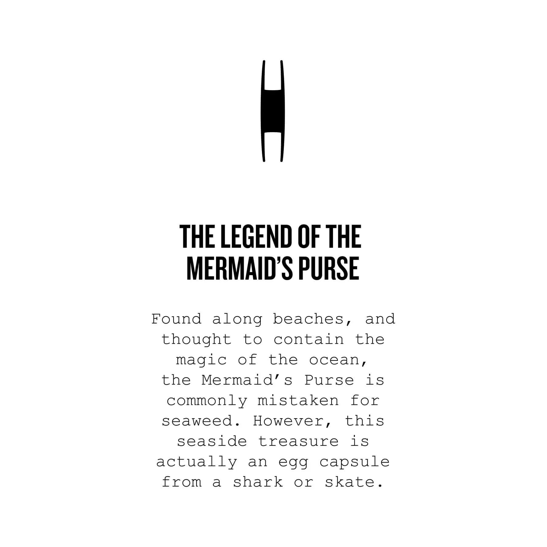 Mermaid's Purse Cuff - Cape Clasp