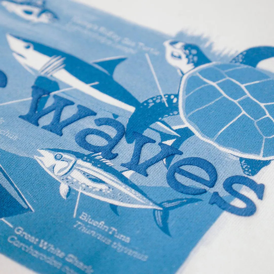 MW Vintage Shark Hoodie - Cape Clasp