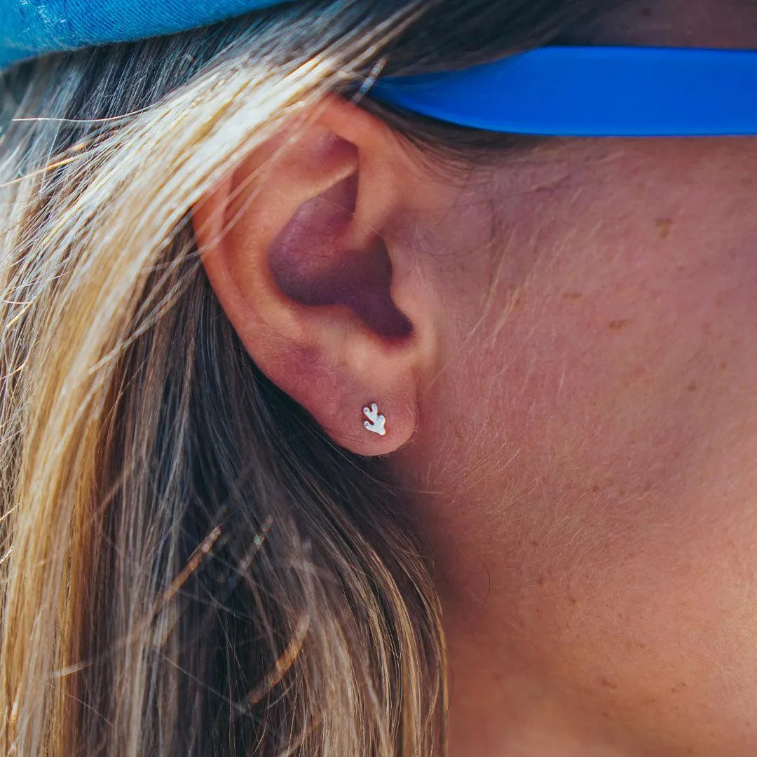 Mystery Earrings - Cape Clasp