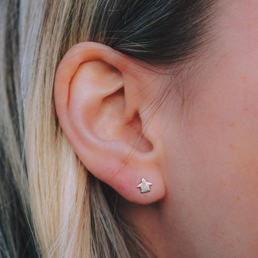 Mystery Earrings - Cape Clasp