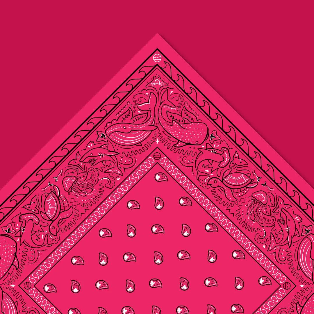 Ocean Friends Bandana 5.0 - Cape Clasp